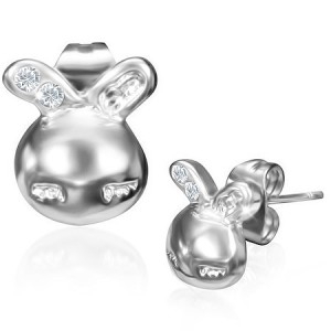 Oceľové náušnice - čínske znamenia zverokruhu