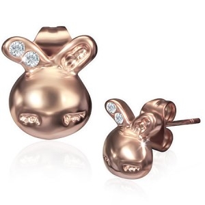 Pozlátené oceľové náušnice - čínske znamenia zverokruhu